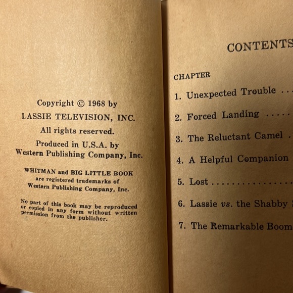 Vintage Lassie and The Shabby Sheik paperback book - Picture 4 of 5